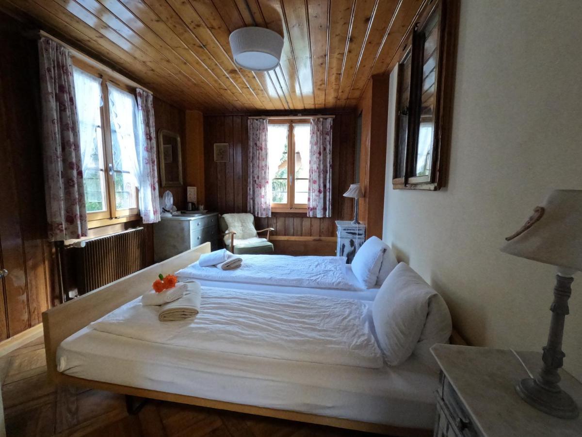 Edelweiss Lodge Wilderswil Dış mekan fotoğraf