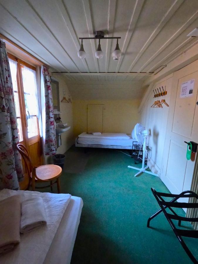Edelweiss Lodge Wilderswil Dış mekan fotoğraf
