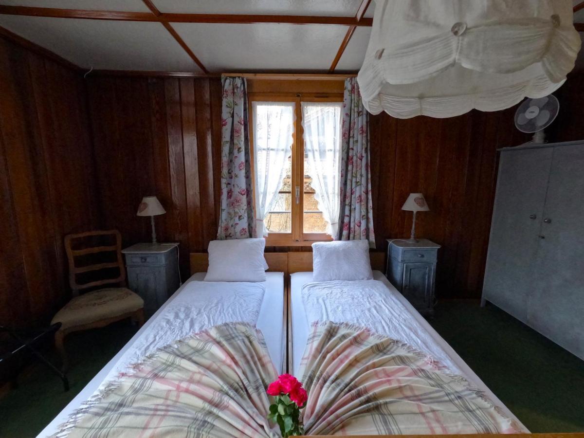 Edelweiss Lodge Wilderswil Dış mekan fotoğraf