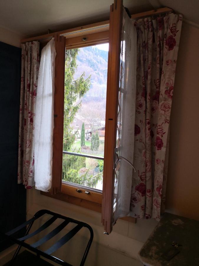 Edelweiss Lodge Wilderswil Dış mekan fotoğraf
