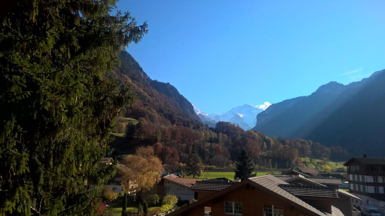 Edelweiss Lodge Wilderswil Oda fotoğraf