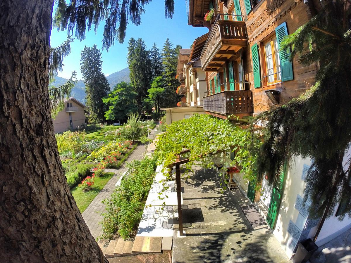 Edelweiss Lodge Wilderswil Dış mekan fotoğraf