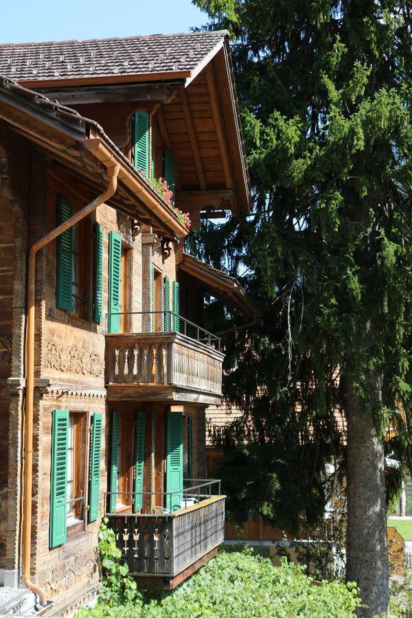 Edelweiss Lodge Wilderswil Dış mekan fotoğraf