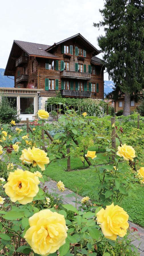 Edelweiss Lodge Wilderswil Dış mekan fotoğraf