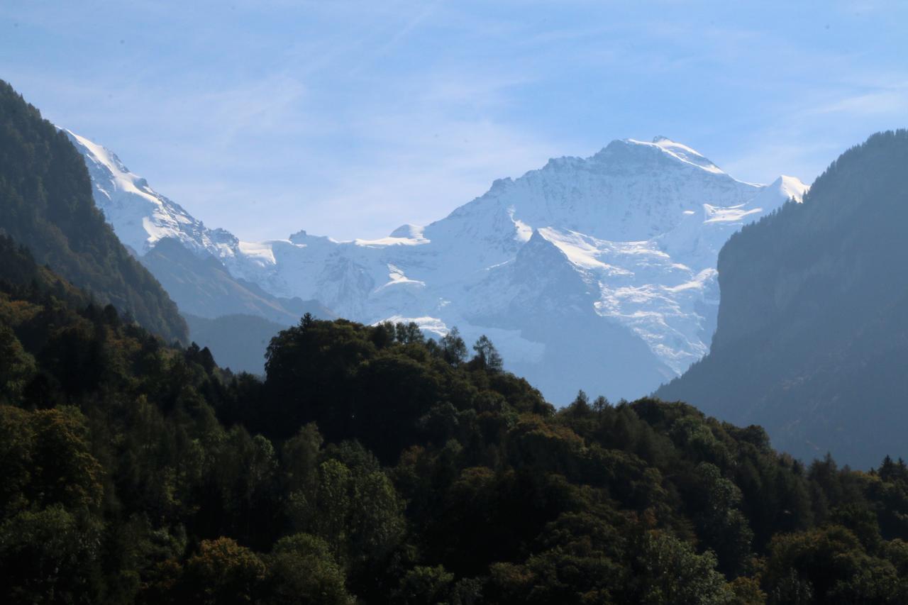 Edelweiss Lodge Wilderswil Dış mekan fotoğraf