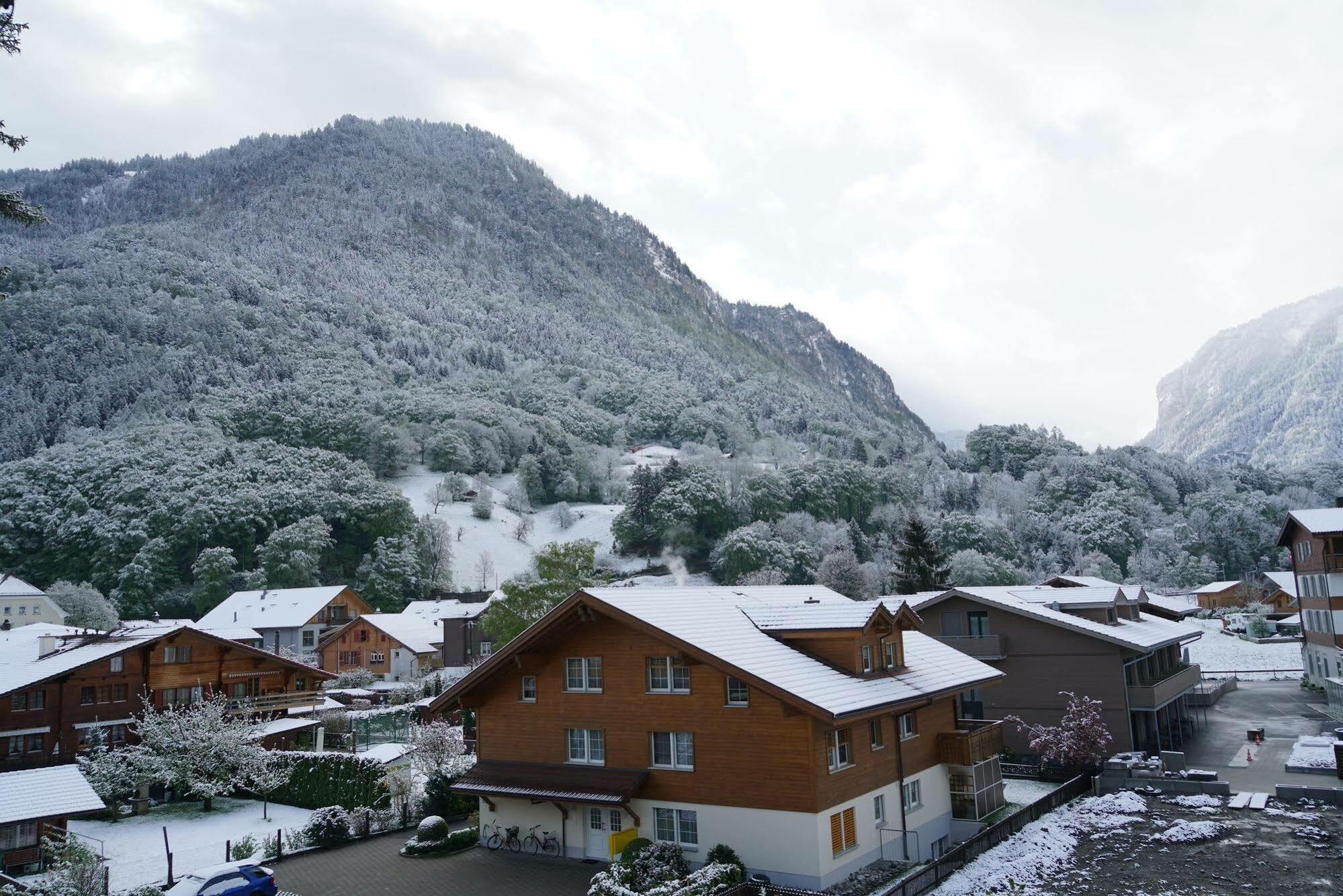 Edelweiss Lodge Wilderswil Dış mekan fotoğraf
