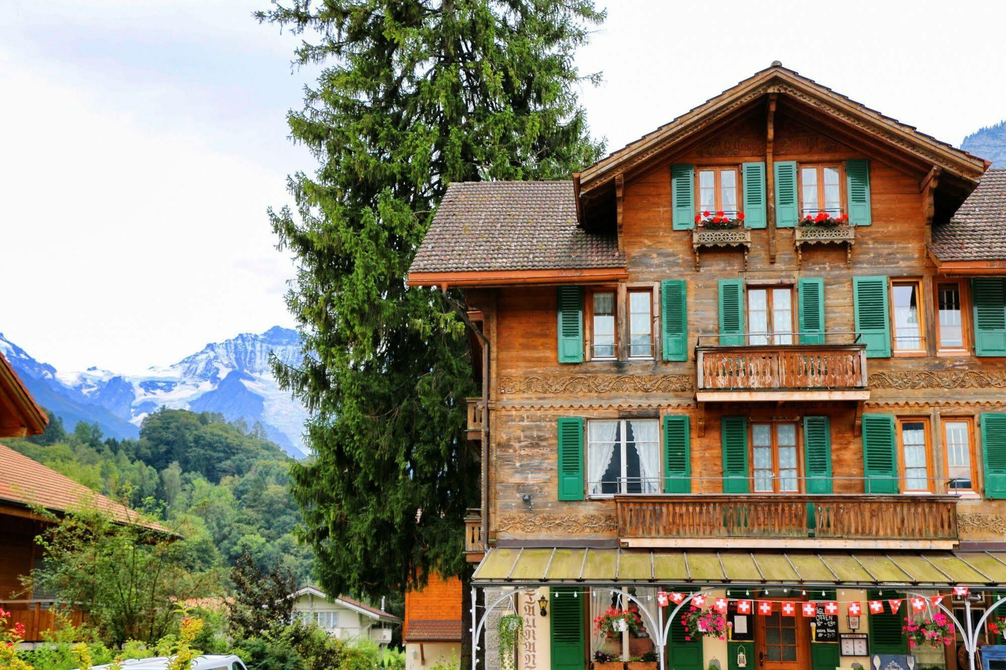 Edelweiss Lodge Wilderswil Dış mekan fotoğraf