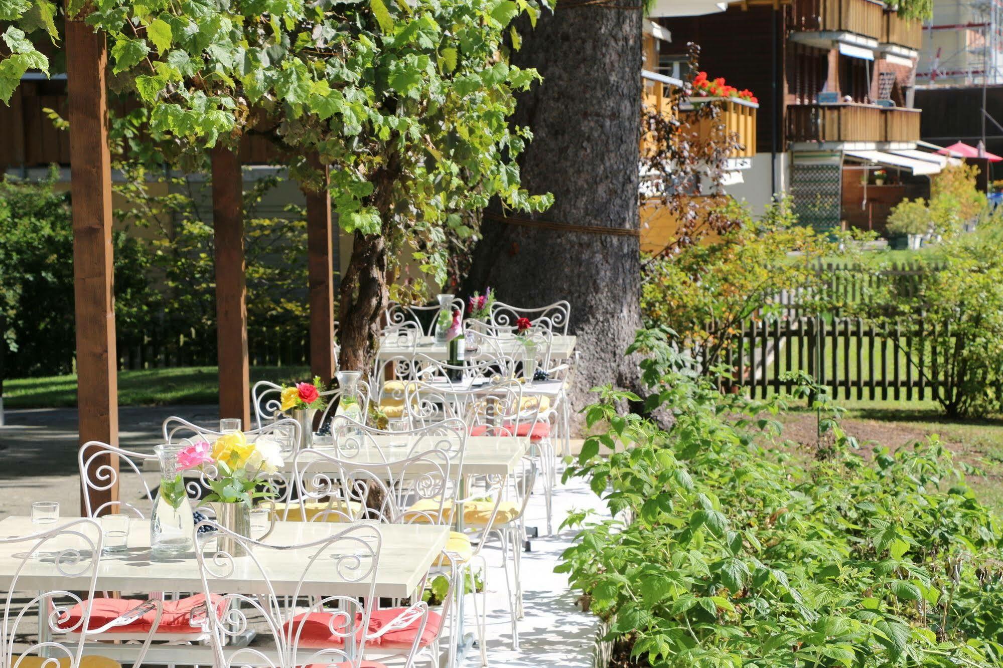 Edelweiss Lodge Wilderswil Dış mekan fotoğraf